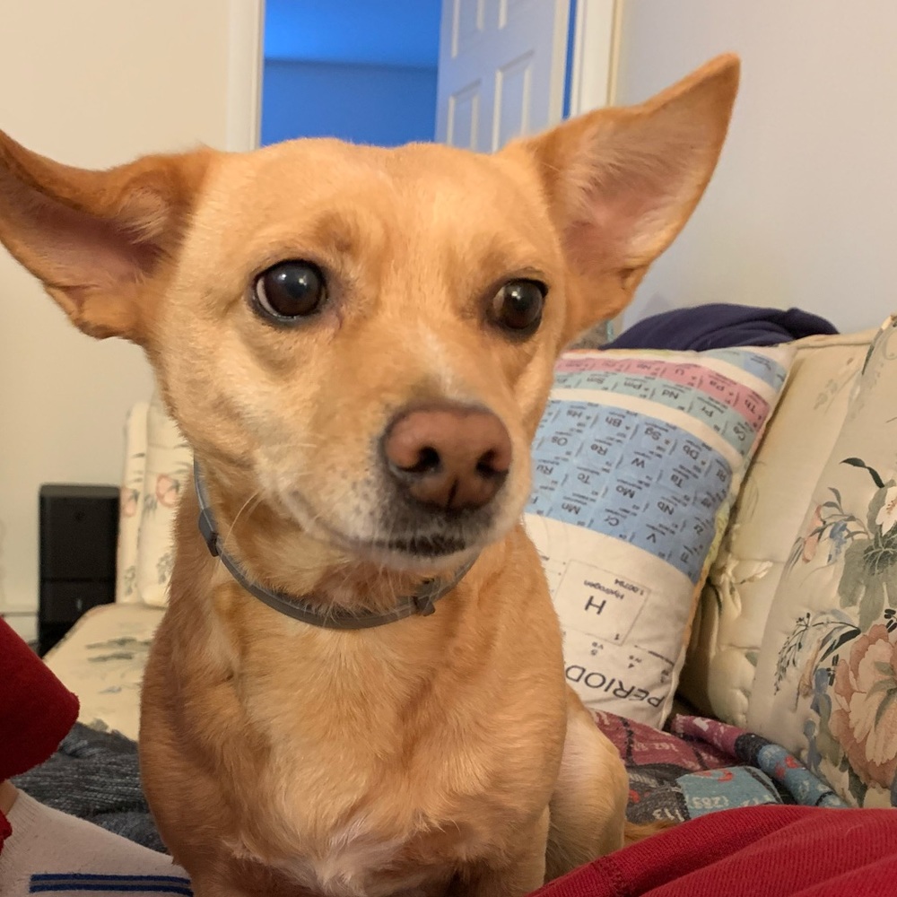 Meet your Posher, Erica